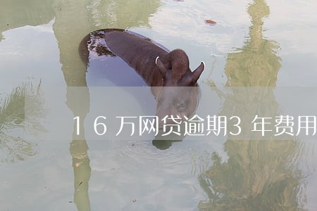 16万网贷逾期3年费用多少 16万网贷逾期3年费用多少