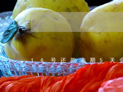 16号还款逾期5天会影响征信吗 16号还款逾期5天会影响征信吗
