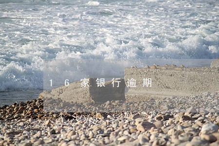 16家银行逾期 16家银行逾期