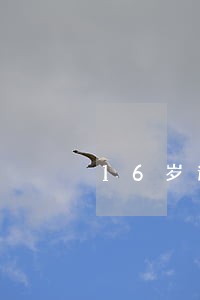 16岁逾期不办身份证后果 16岁逾期不办身份证后果