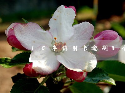 16年信用卡逾期3个月有问题吗 16年信用卡逾期3个月有问题吗