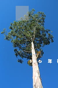 16年刑法司法真题及解析