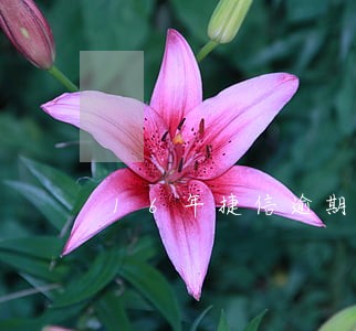 16年捷信逾期影响房贷吗 16年捷信逾期影响房贷吗