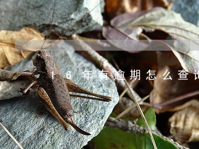 16年有逾期怎么查询是否还款 16年有逾期怎么查询是否还款
