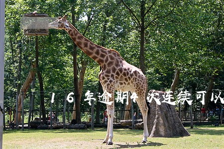 16年逾期4次连续可以商贷吗 16年逾期4次连续可以商贷吗