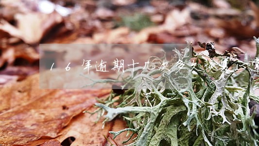 16年逾期十几次多久恢复正常 16年逾期十几次多久恢复正常