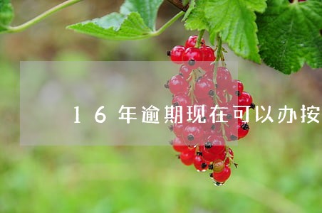 16年逾期现在可以办按揭嘛 16年逾期现在可以办按揭嘛