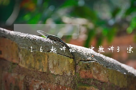 16起诉讼7宗撤诉3宗被驳回 16起诉讼7宗撤诉3宗被驳回