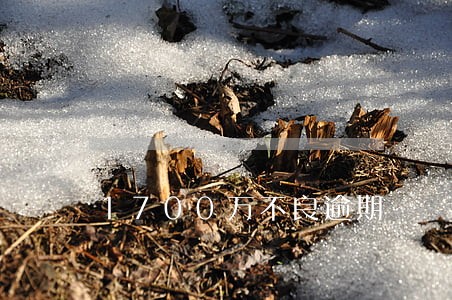 1700万不良逾期 1700万不良逾期