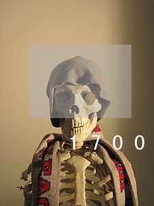 1700逾期三年还多少 1700逾期三年还多少