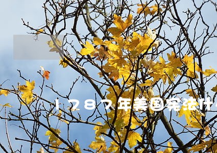 1787年美国宪法什么时候颁布 1787年美国宪法什么时候颁布