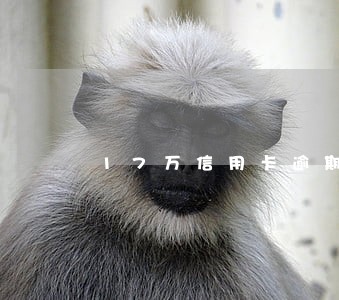 17万信用卡逾期会报案处理吗 17万信用卡逾期会报案处理吗