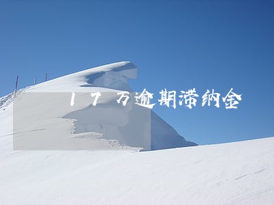 17万逾期滞纳金 17万逾期滞纳金
