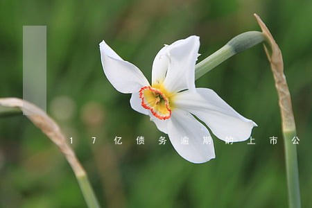 17亿债务逾期的上市公司 17亿债务逾期的上市公司