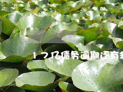 17亿债务逾期还有救吗 17亿债务逾期还有救吗