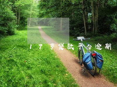 17岁贷款平台逾期 17岁贷款平台逾期