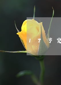 17岁贷款逾期了 17岁贷款逾期了