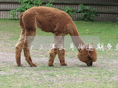 17年三月份逾期多久能消除 17年三月份逾期多久能消除