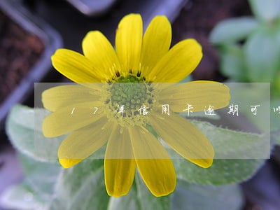 17年信用卡逾期可以房贷吗 17年信用卡逾期可以房贷吗