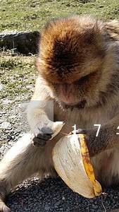 17年小额逾期影响房贷吗 17年小额逾期影响房贷吗