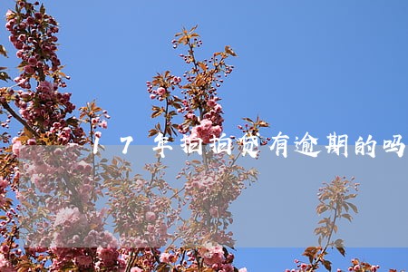 17年拍拍贷有逾期的吗 17年拍拍贷有逾期的吗
