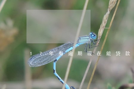 17年有逾期现在能贷款吗 17年有逾期现在能贷款吗