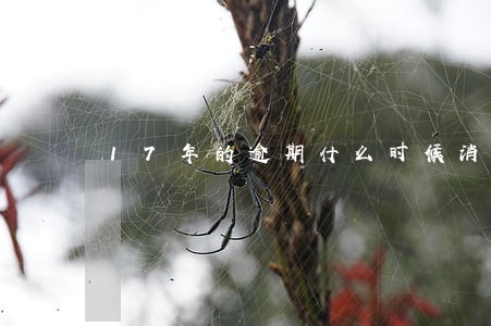 17年的逾期什么时候消除