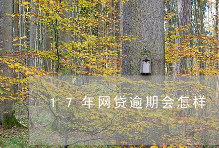 17年网贷逾期会怎样 17年网贷逾期会怎样