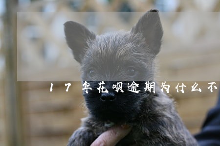 17年花呗逾期为什么不打电话 17年花呗逾期为什么不打电话