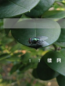 17楼网贷逾期了 17楼网贷逾期了