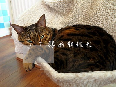 17楼逾期催收 17楼逾期催收