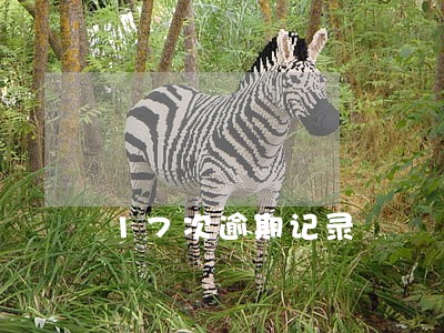 17次逾期记录 17次逾期记录