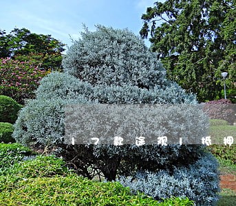 17款途观l抵押逾期怎么办 17款途观l抵押逾期怎么办
