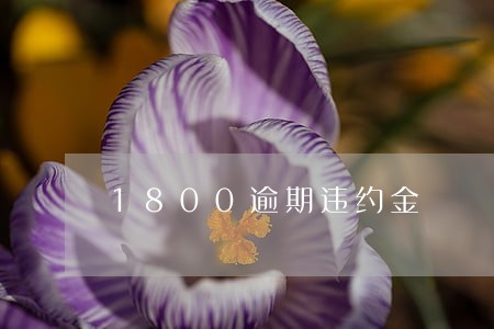 1800逾期违约金 1800逾期违约金
