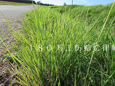 180万工伤赔偿律师费90万 180万工伤赔偿律师费90万