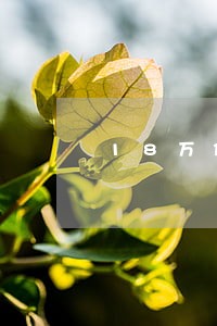 18万信用卡和网贷逾期怎么办