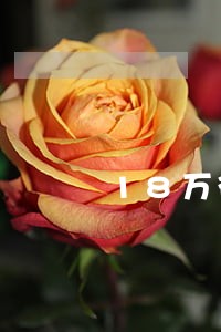 18万微粒贷逾期 18万微粒贷逾期