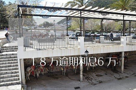 18万逾期利息6万 18万逾期利息6万