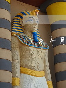 18个月逾期不超过90天 18个月逾期不超过90天