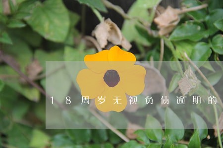 18周岁无视负债逾期的口子 18周岁无视负债逾期的口子