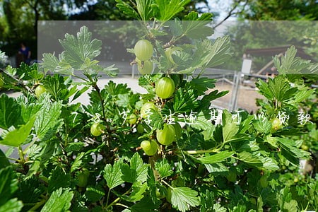 18岁学生逾期可以贷款的平台 18岁学生逾期可以贷款的平台