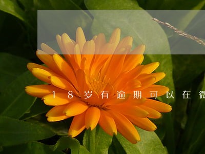18岁有逾期可以在微信贷款的 18岁有逾期可以在微信贷款的