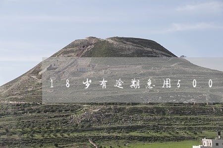 18岁有逾期急用5000