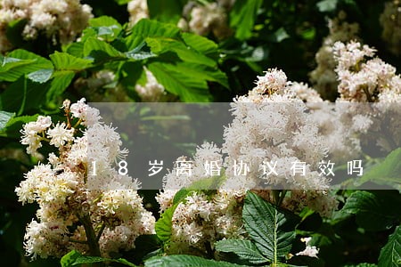 18岁离婚协议有效吗 18岁离婚协议有效吗