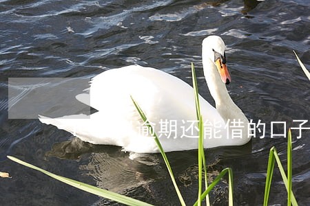 18岁逾期还能借的口子 18岁逾期还能借的口子