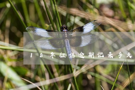 18年征信逾期记录多久消除 18年征信逾期记录多久消除