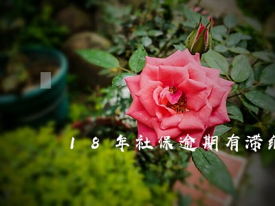 18年社保逾期有滞纳金吗 18年社保逾期有滞纳金吗