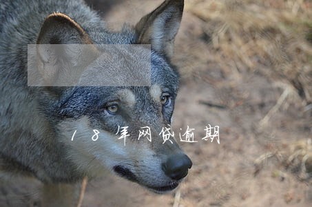 18年网贷逾期 18年网贷逾期