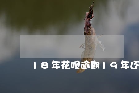 18年花呗逾期19年还清 18年花呗逾期19年还清