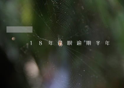 18年花呗逾期半年